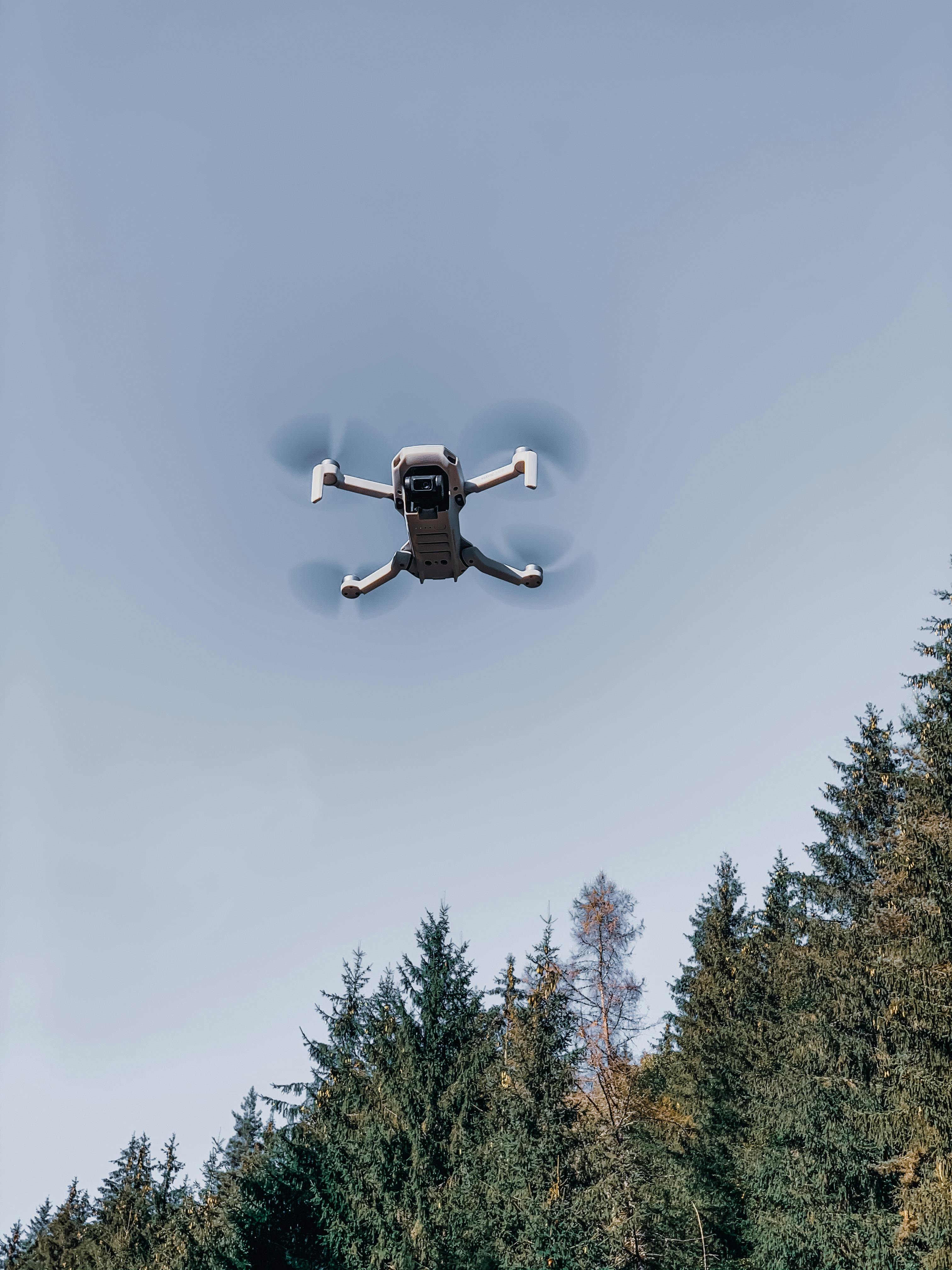 drone flying over coniferous trees