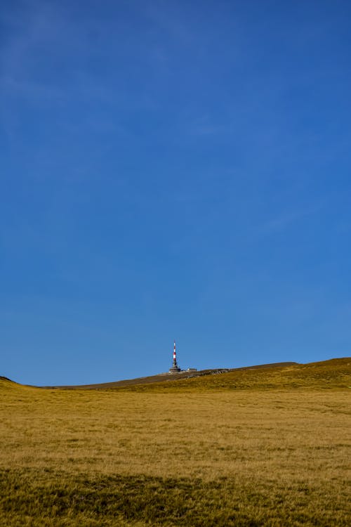 Lighthouse in picturesque grassy field under bright blue sky