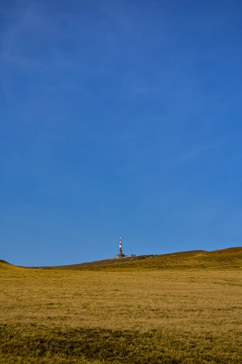 Fotobanka s bezplatnými fotkami na tému botanika, budova, Copy Space