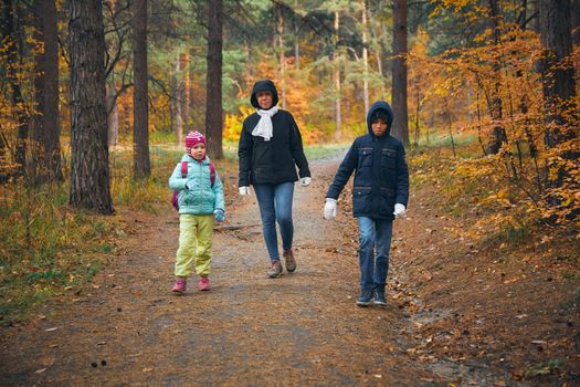 A mother and her two children walking in a vibrant autumn forest, enjoying nature together.