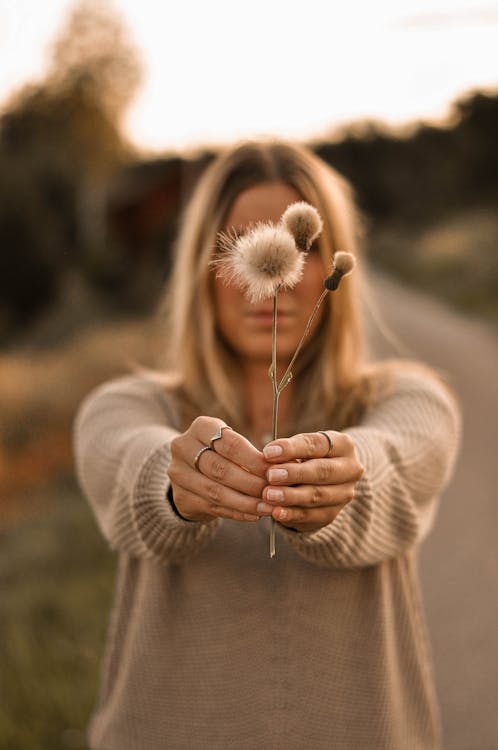 Free Woman in Brown Knitted Sweater Holding Dandelions Stock Photo