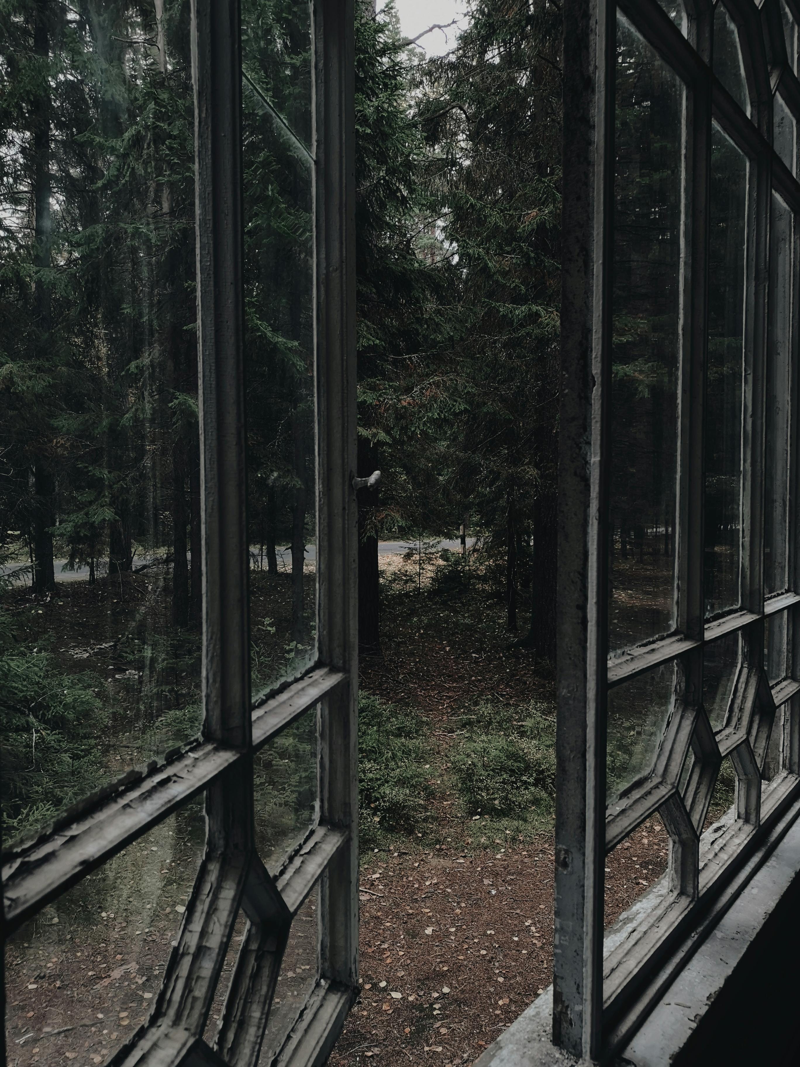 A mysterious view of a dense forest through an abandoned window, evoking a sense of solitude and nature.