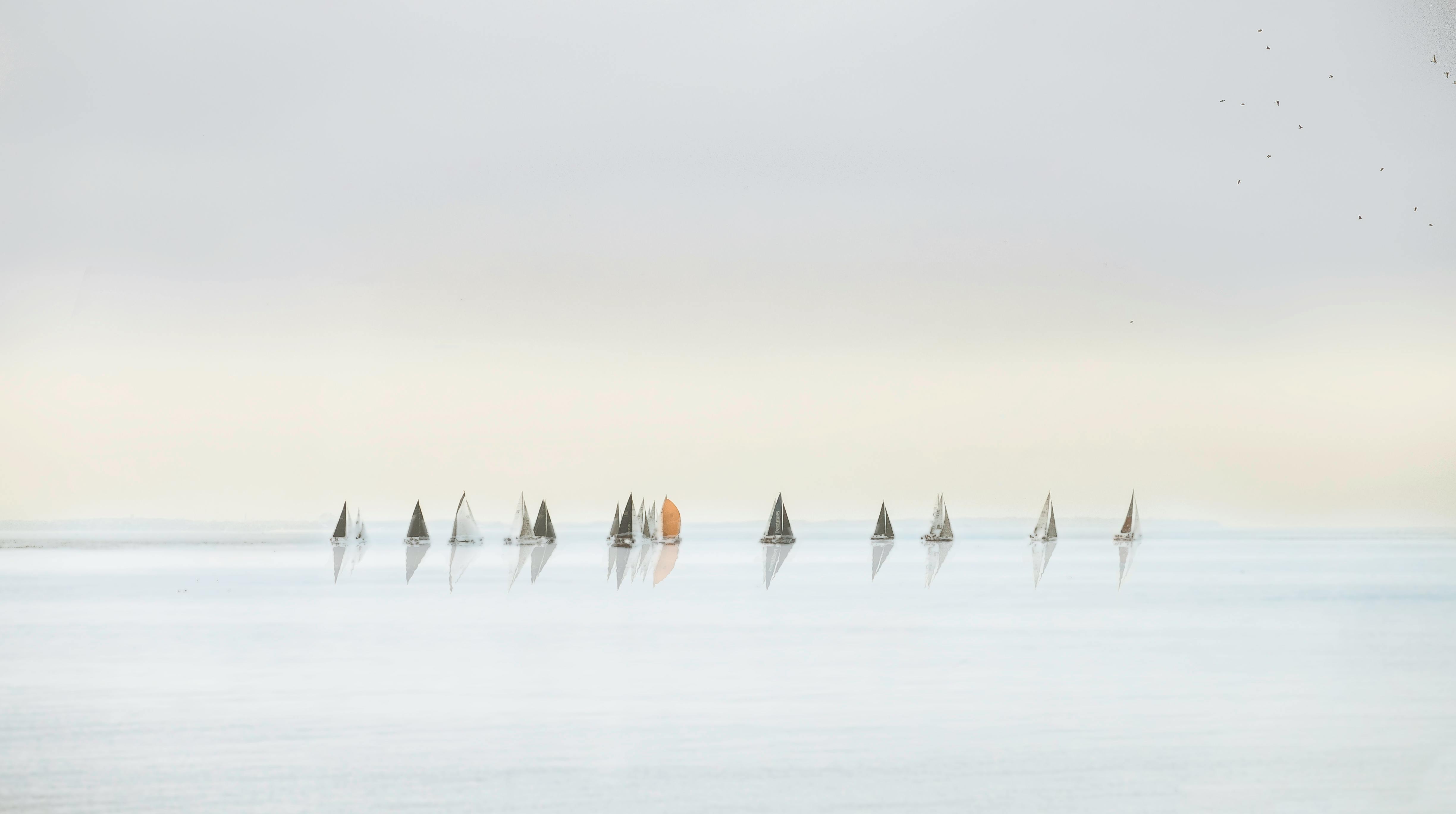 宁静的图像的帆船在宁静的大海附近的塔林，爱沙尼亚