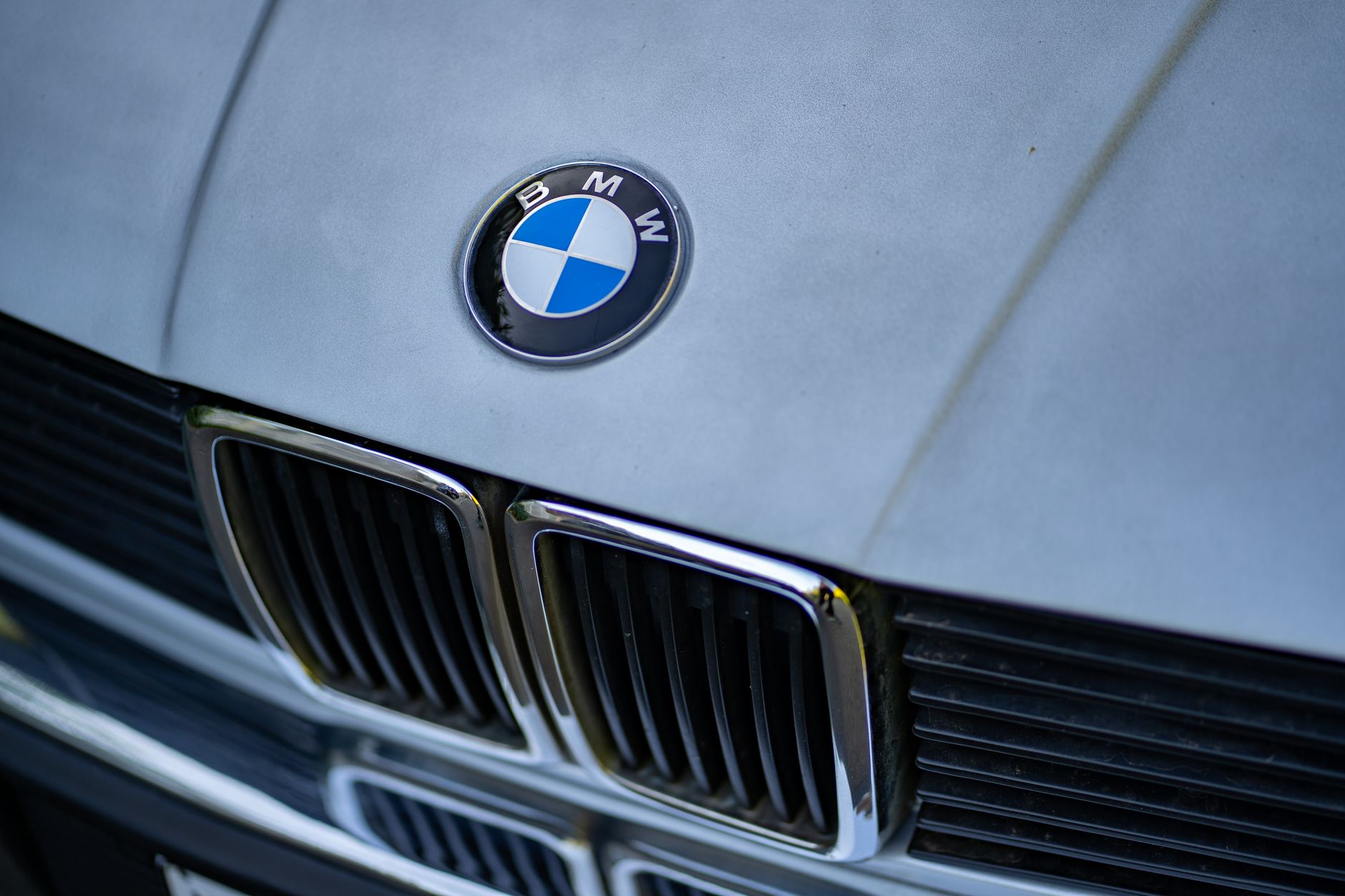 Close-Up Shot of a BMW Emblem