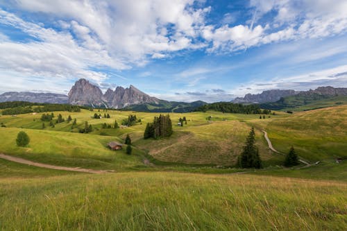 Grassland Near Mountain