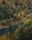 wild nature