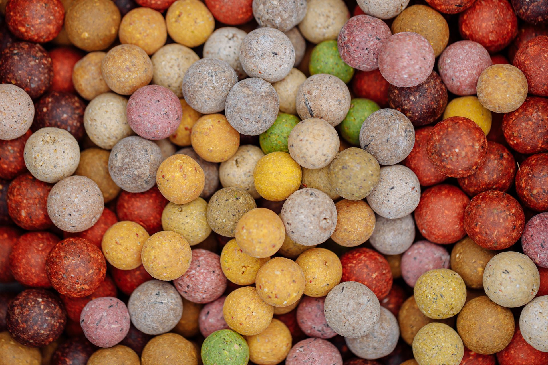 Close Up Shot of Fish Baits