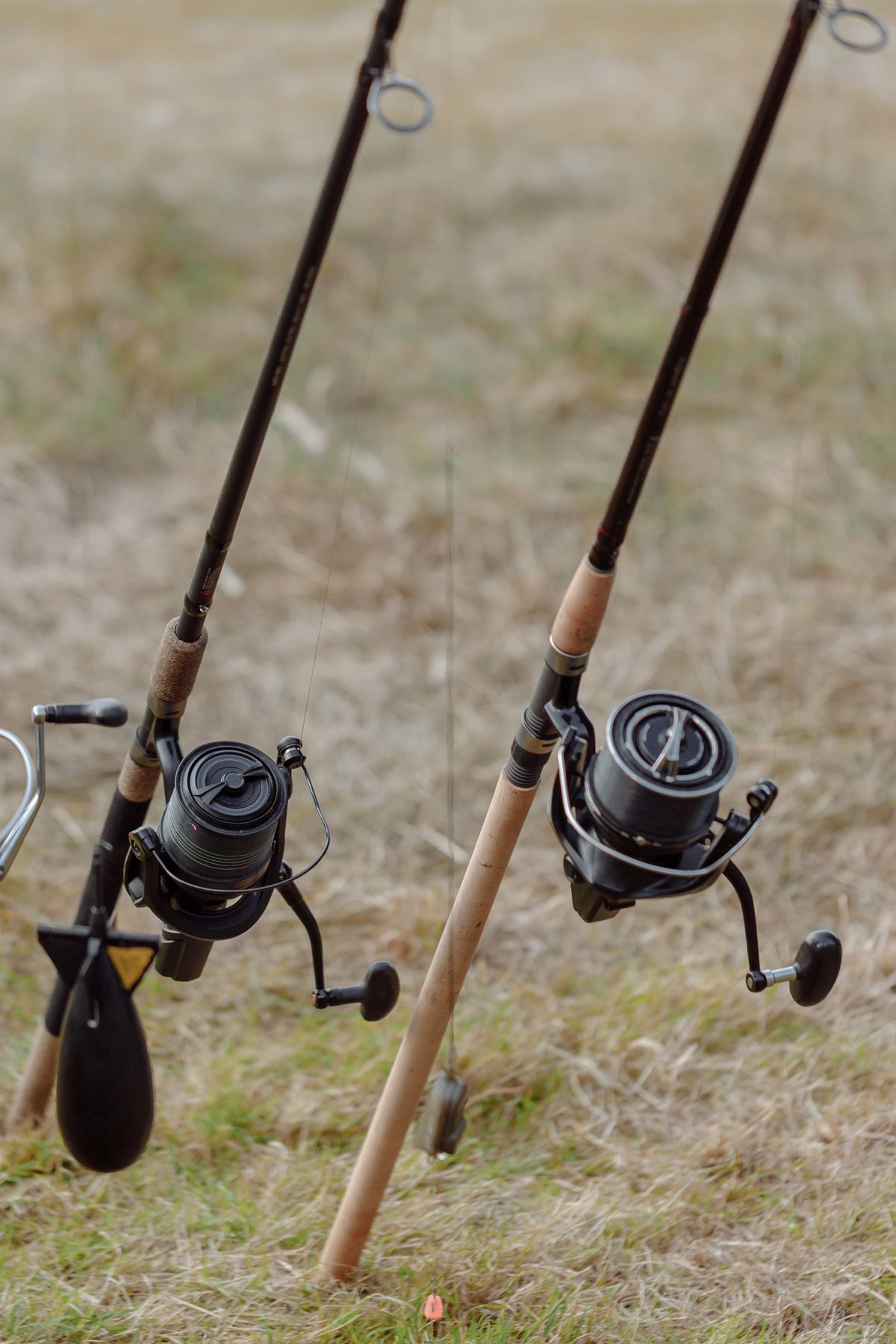 Fishing rods with reels set up on grassy ground