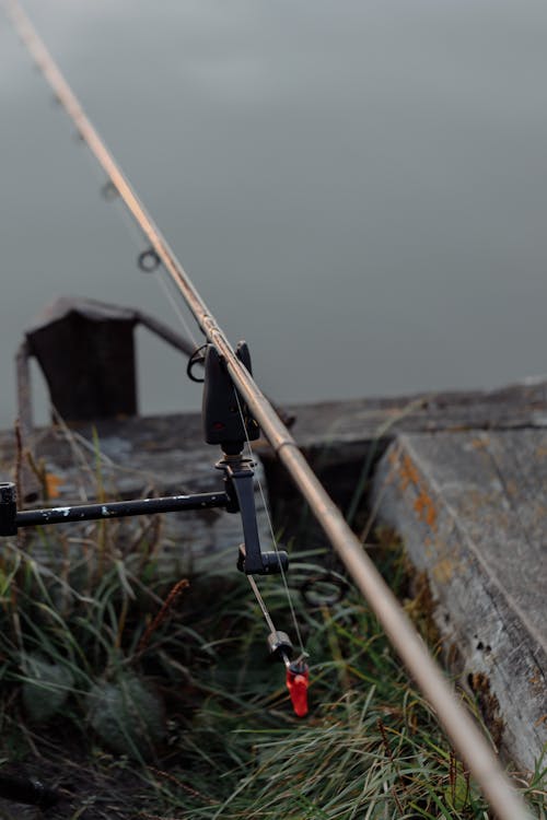 Canne à Pêche Noire Et Argentée