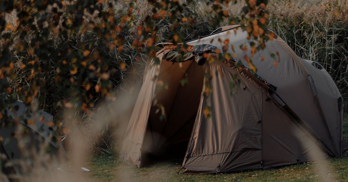 Initiation au Survie Outdoor : Outils et Techniques