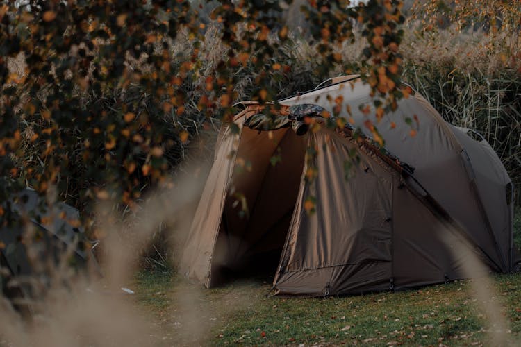 Brown Tent In Reed 