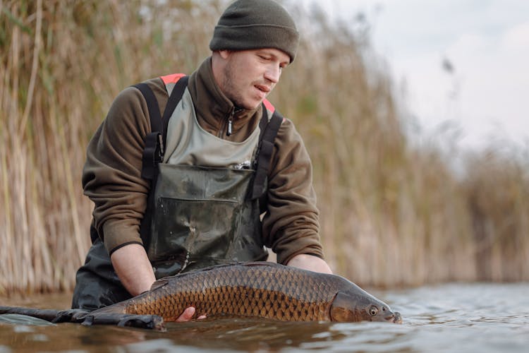 A Man Holding A Carp Fish