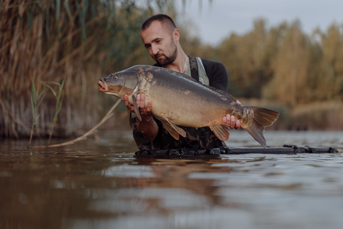 Free A Man Holding a Fish Stock Photo