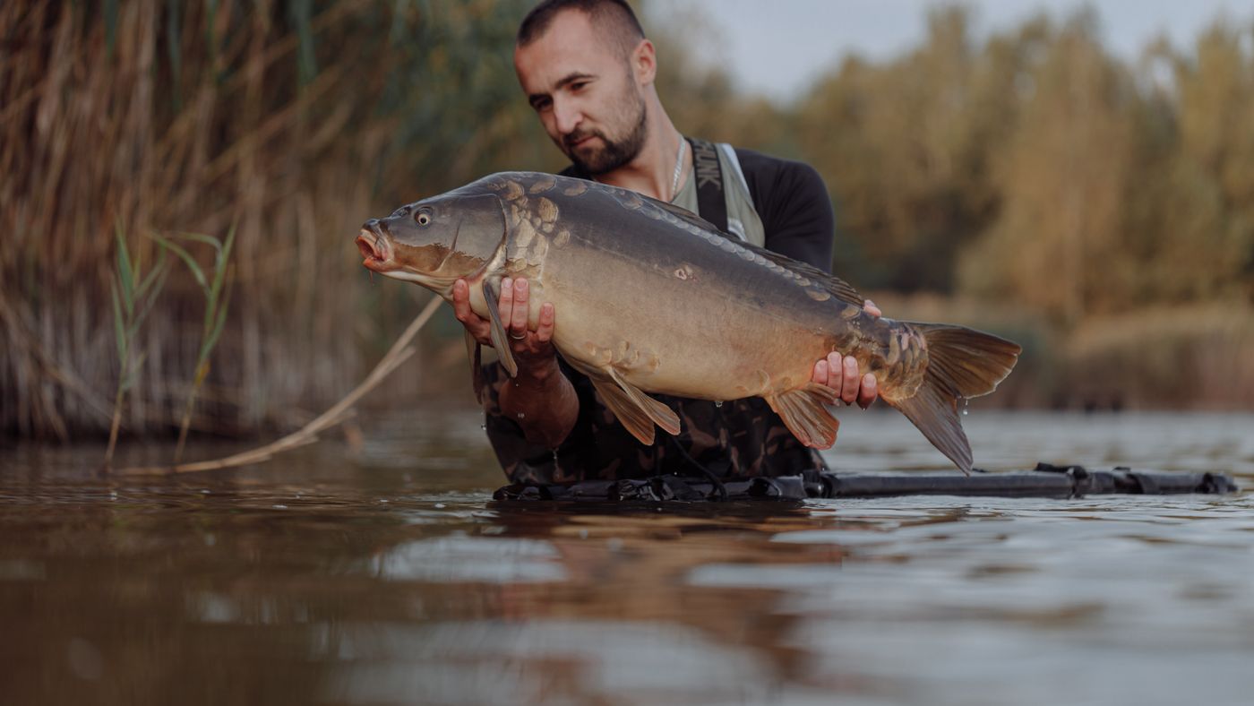 Carp Fishing for Beginners: Bait, Rigs, and How to Land Them