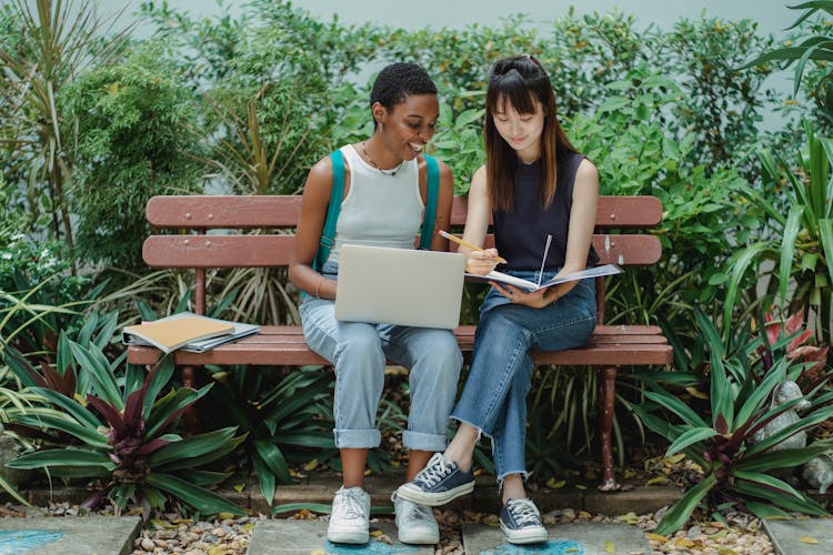 Content Diverse Female Students Studying In Green Park