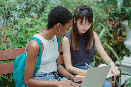 Focused diverse female students working on assignment in park