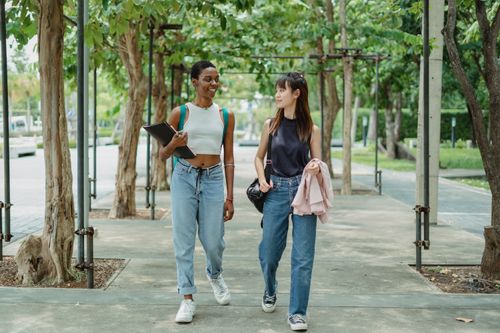 Free Young multiethnic female friends strolling along walkway between trees and talking to each other Stock Photo