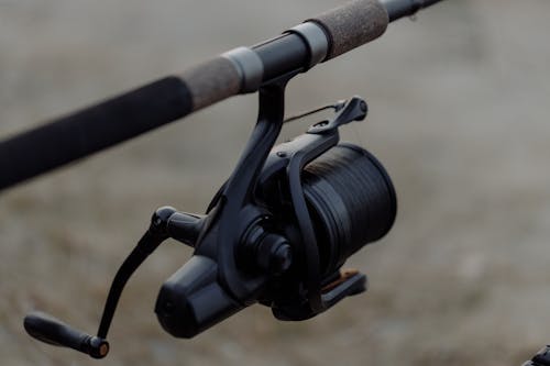Fishing Rod And Reels Photos, Download The BEST Free Fishing Rod And Reels  Stock Photos & HD Images
