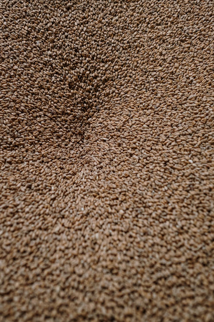 Brown Dried Grains In Close Up Photography