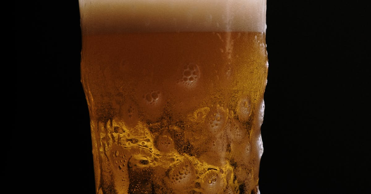 金車柏克金科隆啤酒蟬聯世界冠軍 2025年再奪WBA最高榮譽