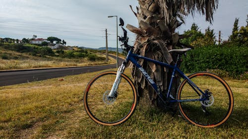 Безкоштовне стокове фото на тему «гірський велосипед, дорога, рослинність»