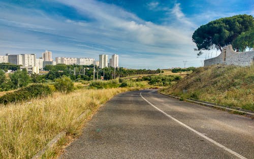 Foto profissional grátis de árvore, céu azul, estrada