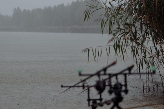 宁静的湖景中，钓鱼竿、芦苇和温和的降雨共同营造出宁静的自然环境