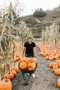 Woman in Black Long Sleeve Shirt Standing in the Middle of Pumpkins