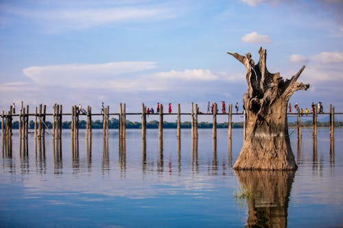 Ilmainen kuvapankkikuva tunnisteilla järvi, Myanmar, puunrunko