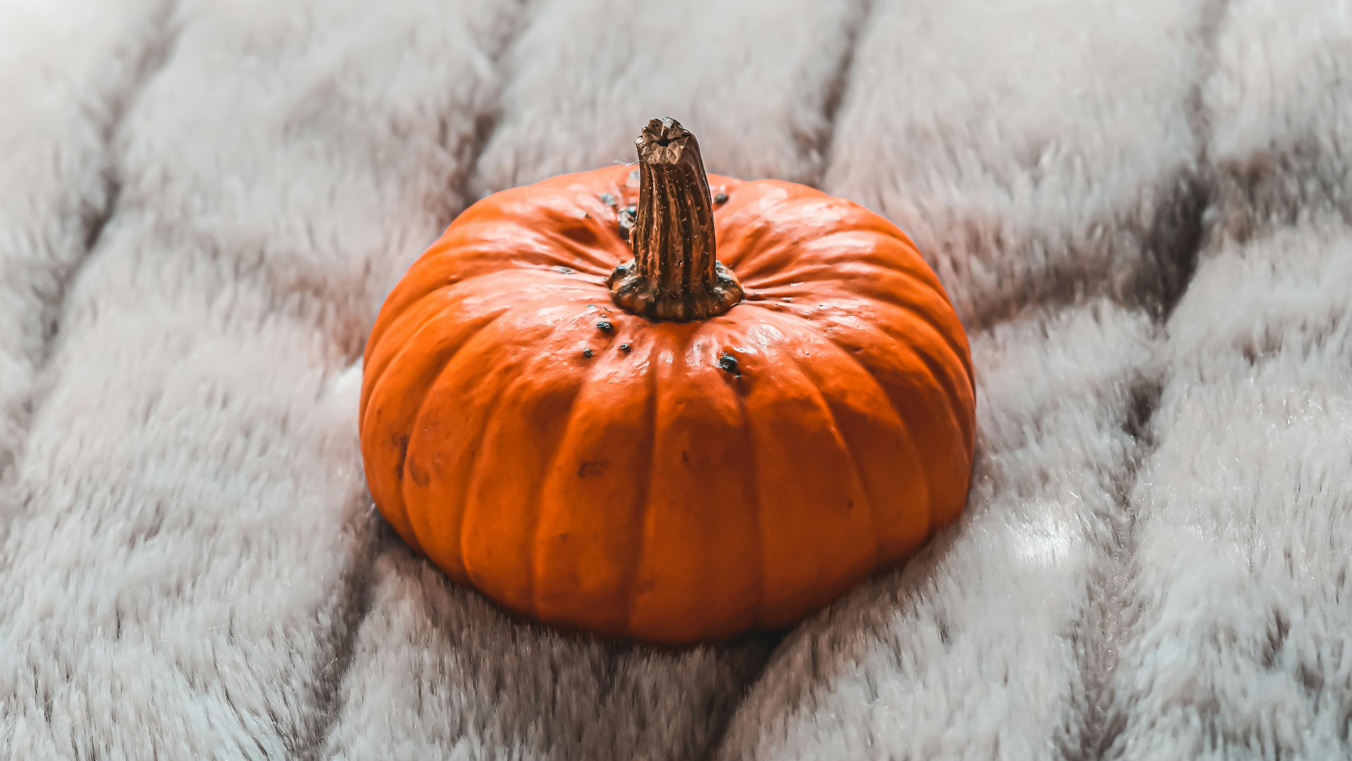 Close-up of a small orange pumpkin resting on a soft, furry gray fabric surface.