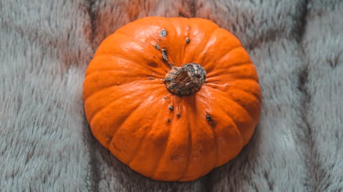 Orange Pumpkin on Gray Carpet