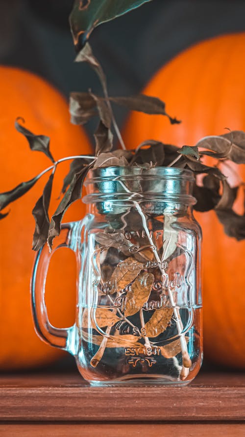 Free Brown Dried Leaves in Clear Glass Jar Stock Photo