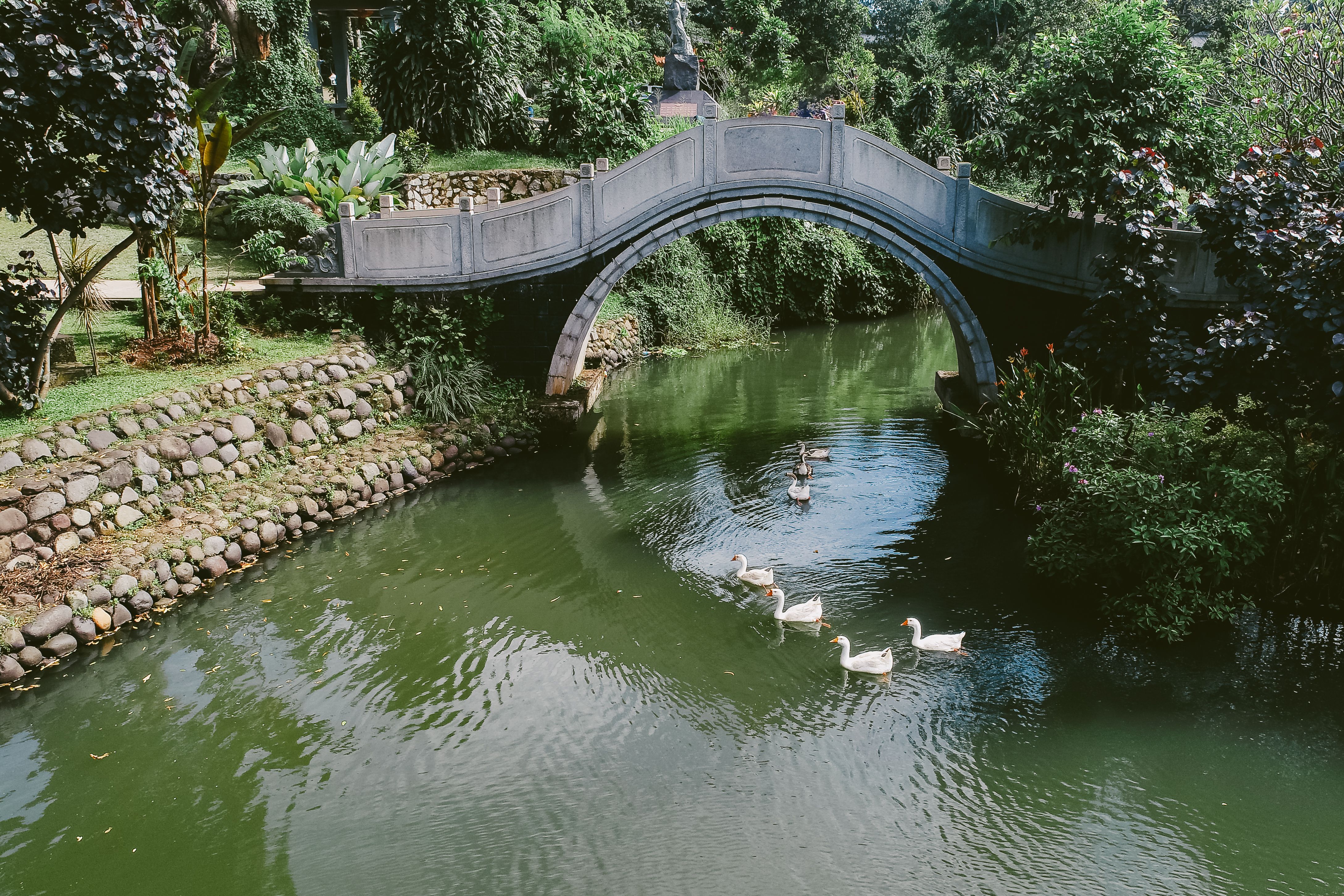Wahana Rekreasi dan Area Ramah Anak yang Wajib Dicoba - ciwidey ecopark