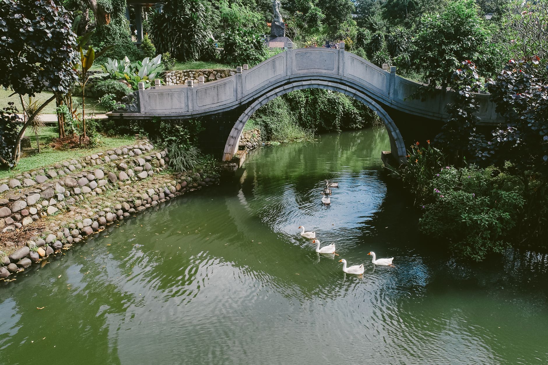 Wahana Rekreasi dan Area Ramah Anak yang Wajib Dicoba - ciwidey ecopark Wahana Rekreasi dan Area Ramah Anak yang Wajib Dicoba - ciwidey ecopark