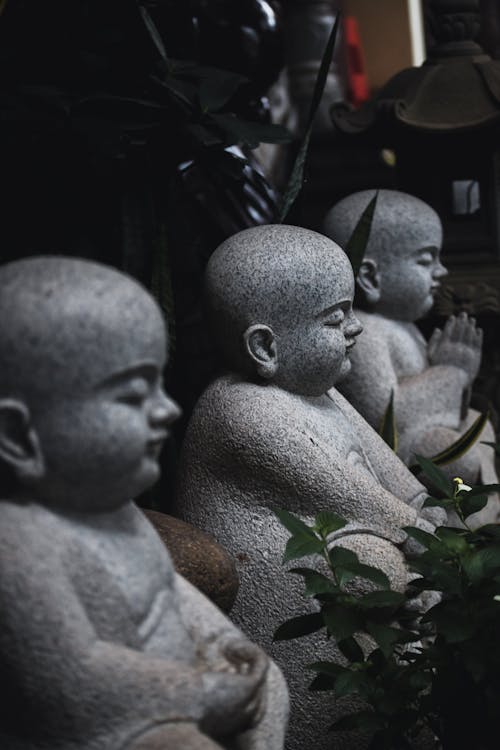 Row of Stone Buddha Statues