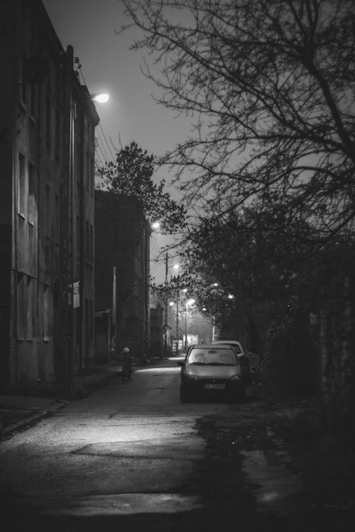 Tổng hợp ảnh thành phố về đêm đen trắng đẹp và lãng mạn
