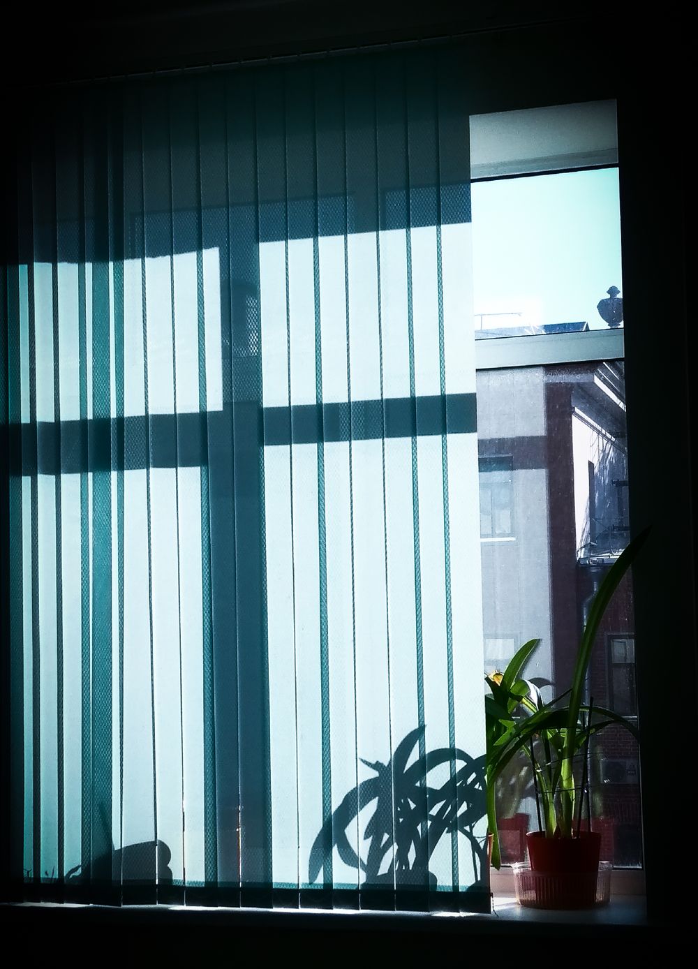 Vertical blinds inspiration