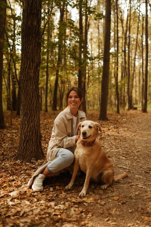 Free A woman kneels beside her dog on a leaf-covered forest path in autumn. Stock Photo