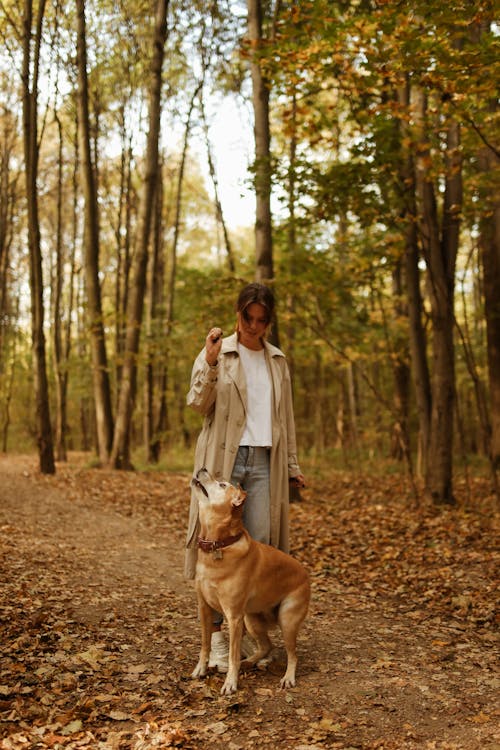 Woman and Her Brown Dog in the Woods
