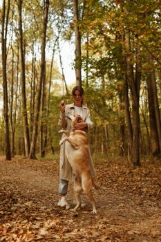 秋天，一位穿着风衣的妇女带着她的金毛猎犬在森林小路上玩耍