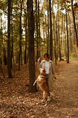 Creating a Wildflower Meadow: A Guide for Nature Lovers
