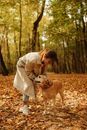 一位穿着风衣的女士和她的拉布拉多犬在铺满干树叶的森林里享受秋日漫步