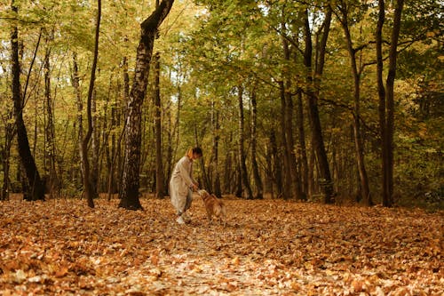 Woman in the Forest Playing with Her Dog 