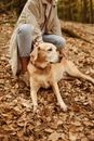 主人在舒适的环境中与拉布拉多猎犬一起享受秋季户外活动