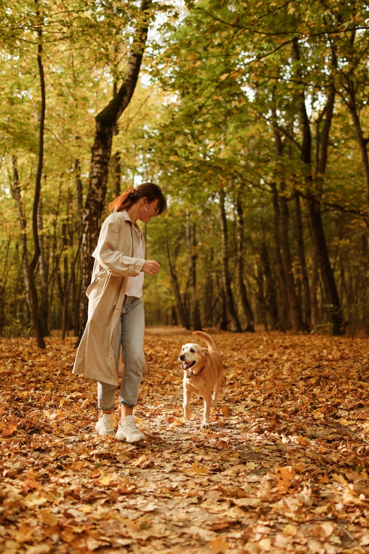 A Brown Dog Following The Woman In The Forest 