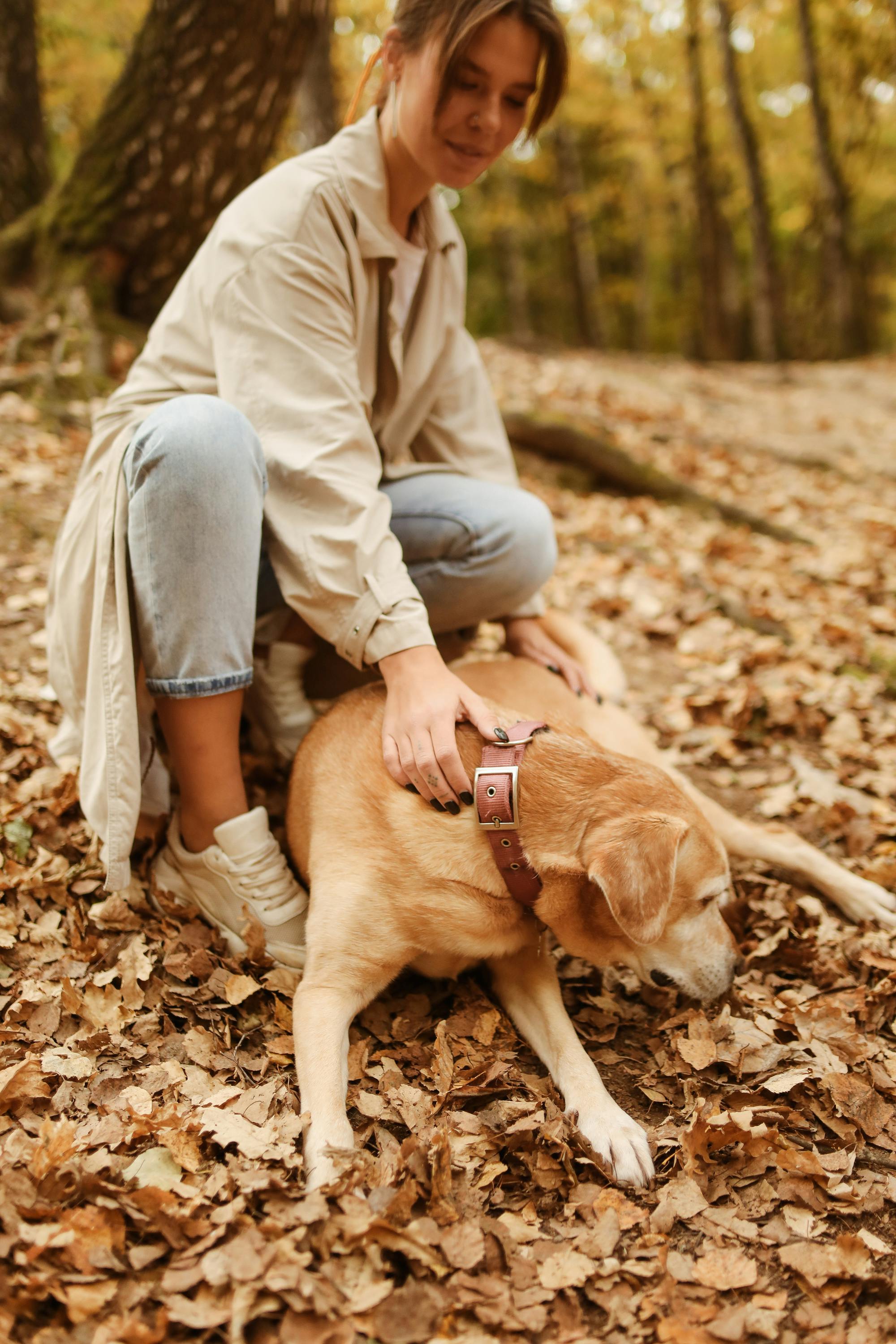 woman caressing the resting dog