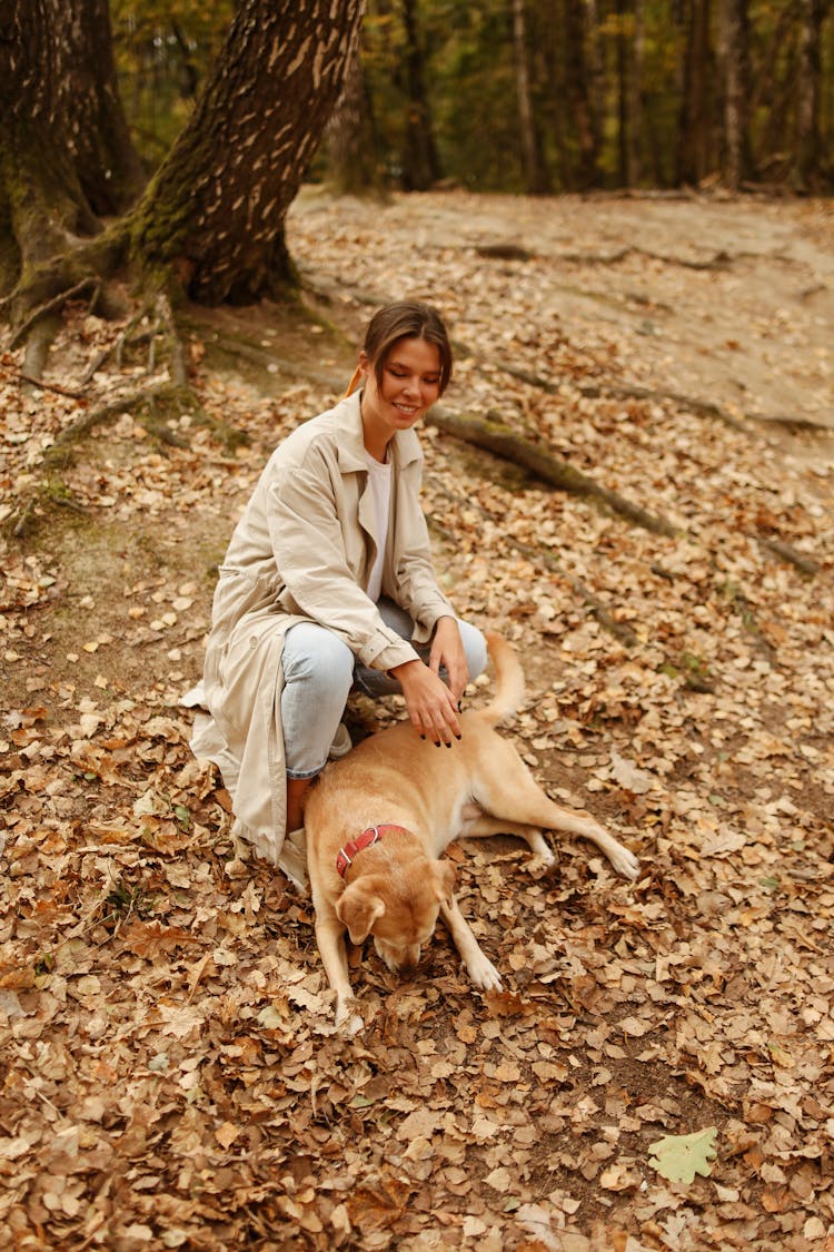 Woman Playing With A Dog In Forest At Fall