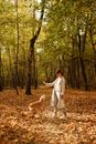 Woman in White Long Sleeve Dress Walking With Brown Dog on Forest