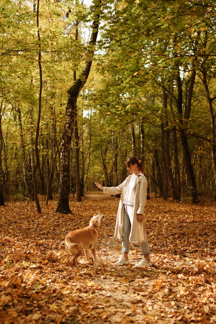 Woman With A Dog In Park At Fall