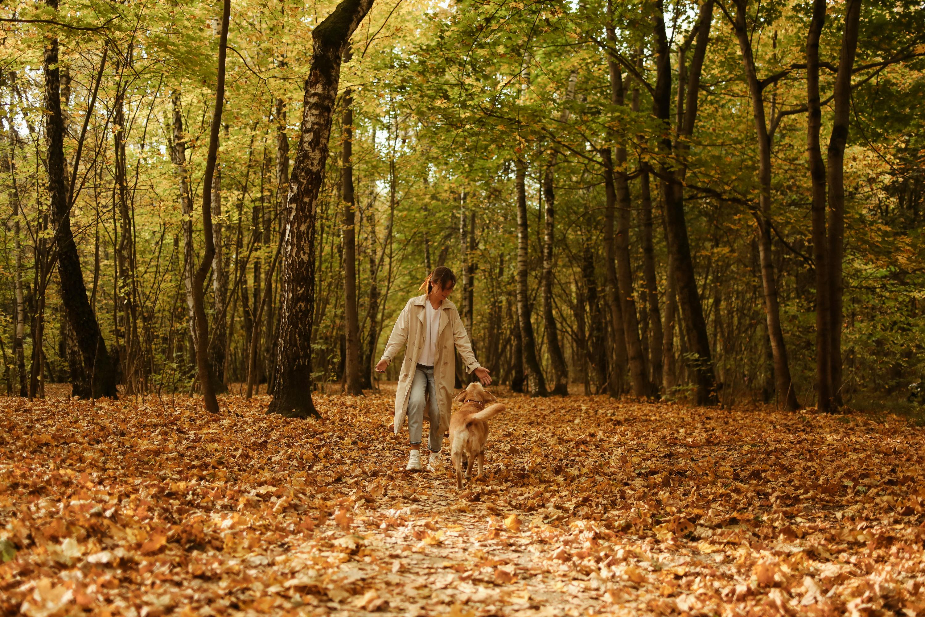 Woman Walking Her Dog in Autumn Park